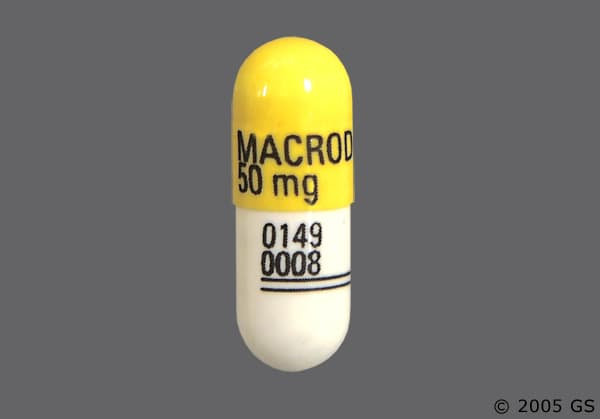 macrodantin