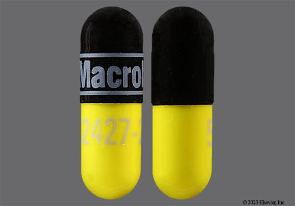 macrobid